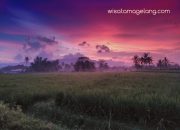 PESONA SORE DI AKHIR JANUARI 2016
