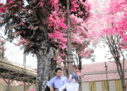 KARISIDENAN MAGELANG, TEMPAT ASIK UNTUK PREWEDDING