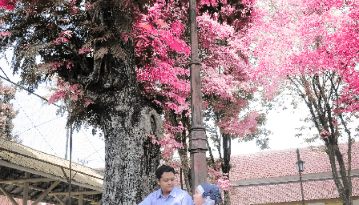 KARISIDENAN MAGELANG, TEMPAT ASIK UNTUK PREWEDDING