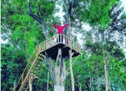 Pesona Bukit Barede “Borobudur Charm Sunrise”