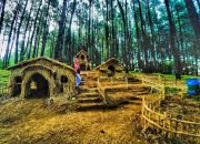 SLEKER ASRI, PESONA HUTAN PINUS YANG WAJIB KAMU DATENGIN!