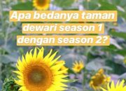 PERBEDAAN TAMAN DEWARI SEASON1 DAN SEASON2