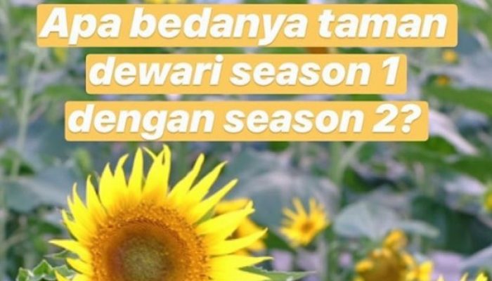 PERBEDAAN TAMAN DEWARI SEASON1 DAN SEASON2
