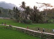 WISATA KULON NDESO, WAJIB ANDA KUNJUNGI!!!