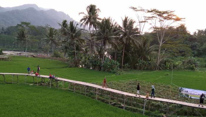 WISATA KULON NDESO, WAJIB ANDA KUNJUNGI!!!