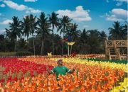 KREATIF, TAMAN WISATA KITIRAN MAGELANG
