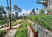 ADA LHO DESA WISATA HERBAL DI MAGELANG
