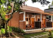 MAIN KE BOROBUDUR, BISA NGINEP DI GENTHONG HOMESTAY