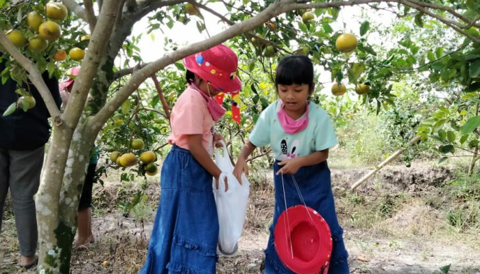 TAMAN VITAMIN C, KEBON JERUK GAMOL PAREMONO
